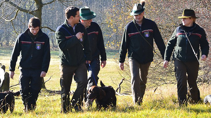 Förster von HessenForst laufen mit Hunden über eine Wiese