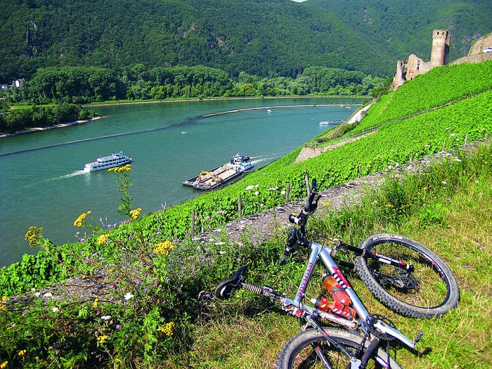 Ausflug 22 MTB-Touren Rheingau Rheinhessen