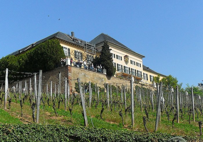 Rheingau Schloss Johannisberg