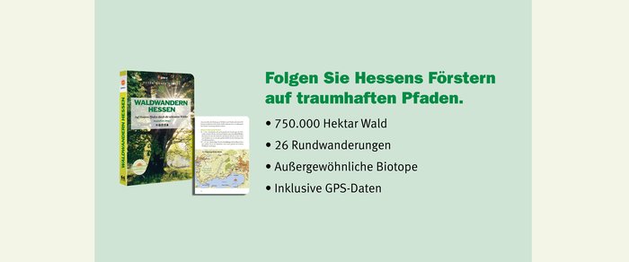 Waldwandern Hessen – Mit den hessischen Förstern die Wälder entdecken