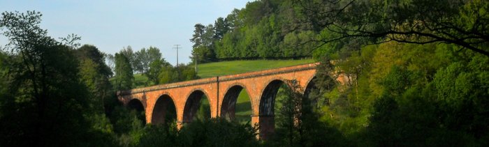 Blick auf Viadukt im Wald