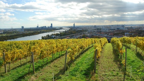 Blick auf Wien Blick auf Wien