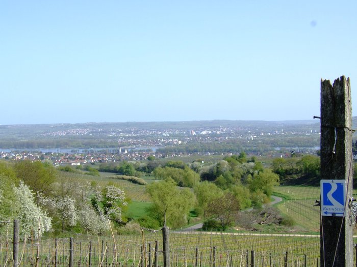 Ausflug Die beliebstesten Wanderwege der Hessen