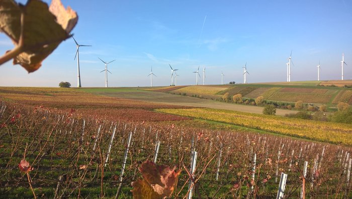 Rheinhessen-Shop