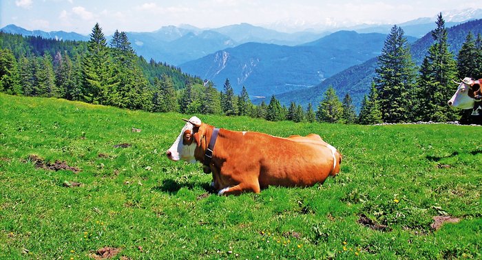 Wandern Berchtesgadener Land und Chiemgau mit Kindern