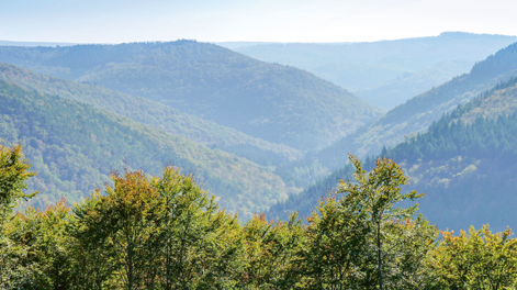Vom Rheingau bis zum Taunus Vom Rheingau bis zum Taunus