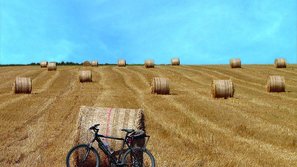 Kornfeld mit Heuballen vor blauem Himmel