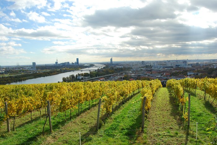 Ausflug Wanderungen in und um Wien